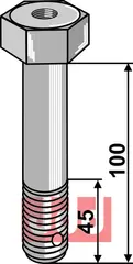 Bolt M20x100 - 10.9