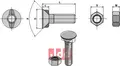 Plogbolt M12 x 1,25 x 40 med Mutter