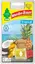 WUNDER-BAUM BOTTLE TROPICAL Flaske 4,5 ml